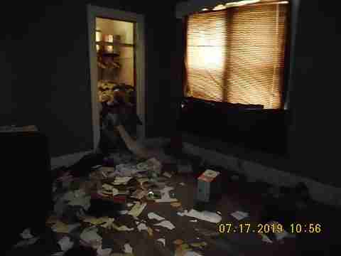 13117 Jane (16)_m.jpg